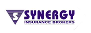 Logo home 1.2